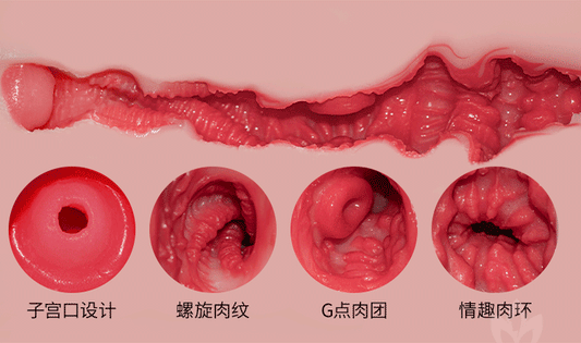 Silicone Half-Body Companion: Removable Head, Flexible Pose, and Medical-Grade Material